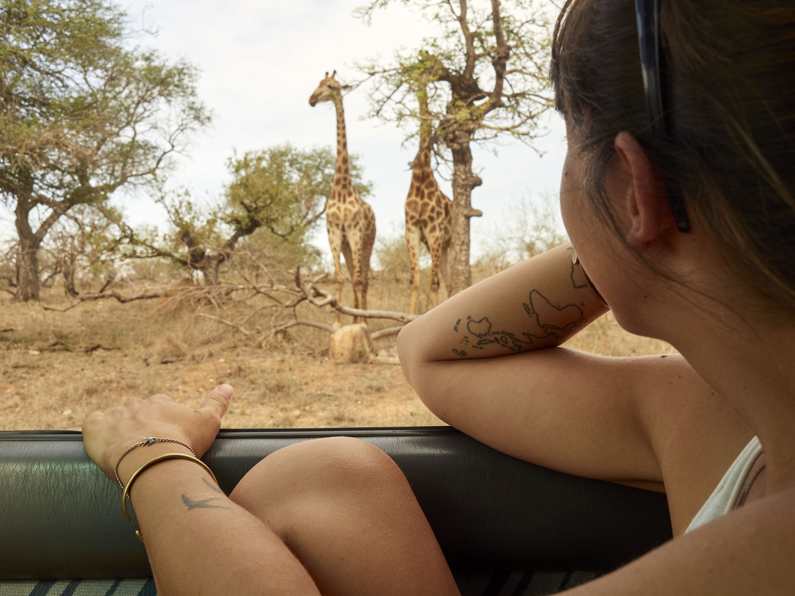 — woman-watching-pair-of-giraffes-through-car-window-2023-11-27-04-54-06-utc